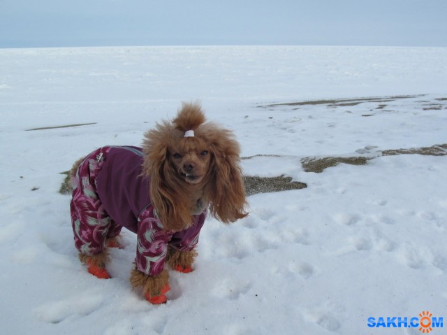 У моря

Просмотров: 376
Комментариев: 0