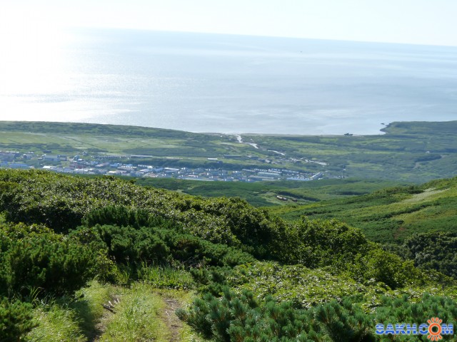 Фото хв