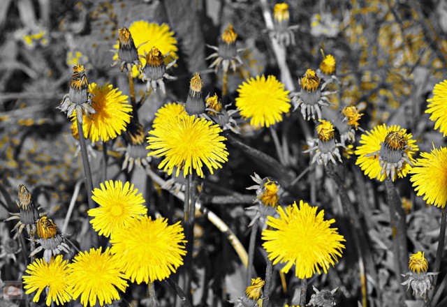 Арт-фильтр2
Новая прошивка на SONY A-55

Просмотров: 1396
Комментариев: 2