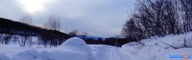 DSC09781