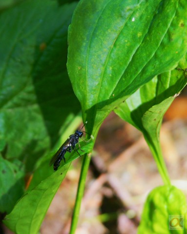 ***
Фотограф: Сергей Буркацкий

Просмотров: 605
Комментариев: 0