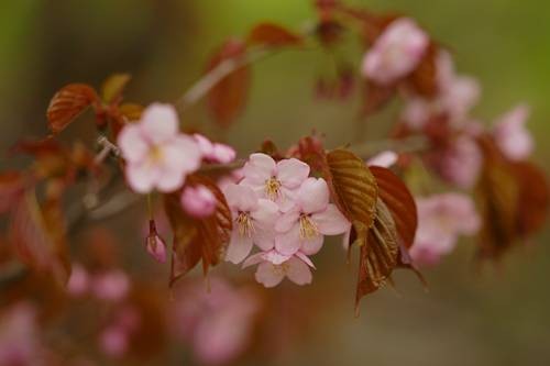 DSC04858
Фотограф: Сергей Буркацкий

Просмотров: 476
Комментариев: 0