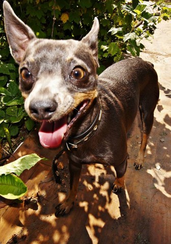 ***

Просмотров: 901
Комментариев: 0