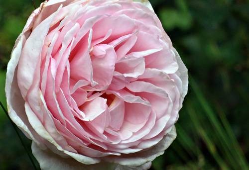 DSC00451
Фотограф: Сергей Буркацкий

Просмотров: 262
Комментариев: 0