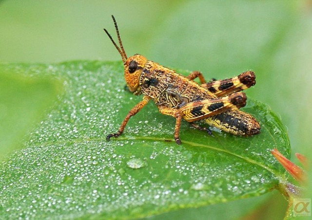 ***

Просмотров: 711
Комментариев: 0