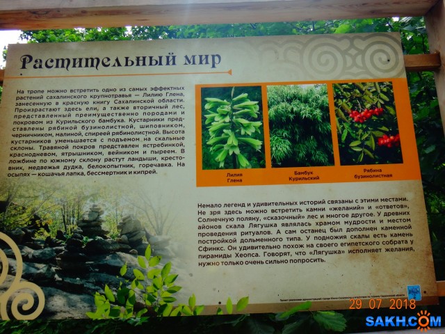 DSC06337