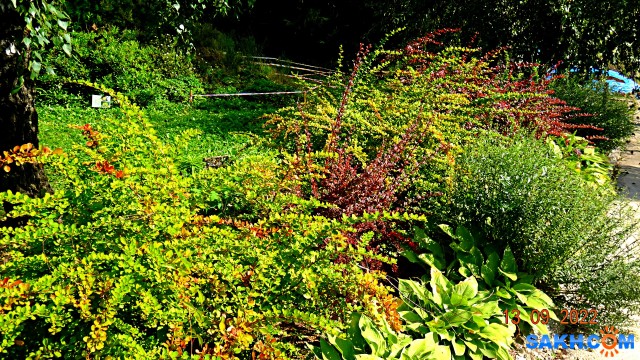 DSC03718

Просмотров: 381
Комментариев: 0