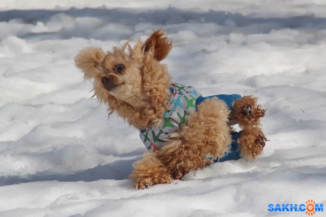 Люся

Просмотров: 700
Комментариев: 0