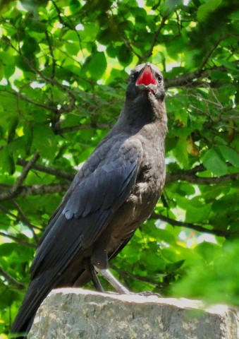 DSC03999
Фотограф: Сергей Буркацкий

Просмотров: 343
Комментариев: 0