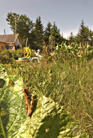 ***

Просмотров: 738
Комментариев: 0