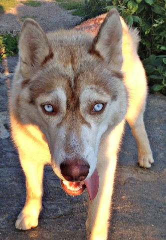 ***
Фотограф: Сергей Буркацкий

Просмотров: 747
Комментариев: 2