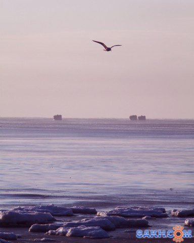 утро, море, чайки.
Фотограф: Фотохроник

Просмотров: 637
Комментариев: 0
