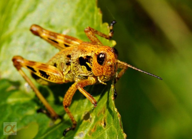 ***

Просмотров: 822
Комментариев: 0