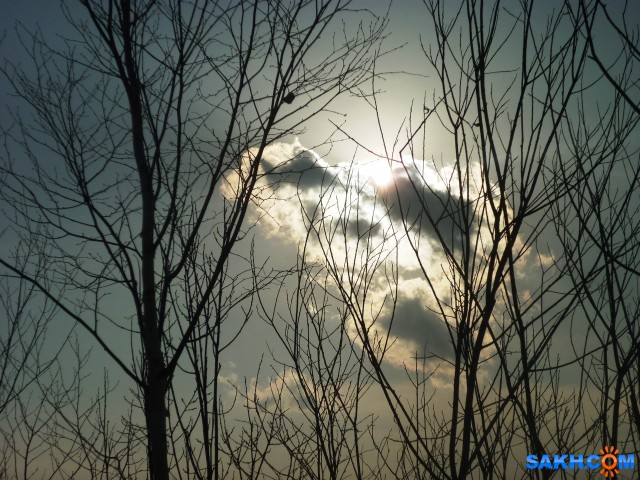 солнышко спряталось...

Просмотров: 655
Комментариев: 0