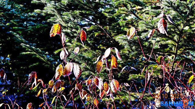 DSC06918

Просмотров: 441
Комментариев: 0