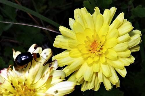 DSC04211
Фотограф: Сергей Буркацкий

Просмотров: 615
Комментариев: 0