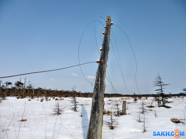 SAM_7184