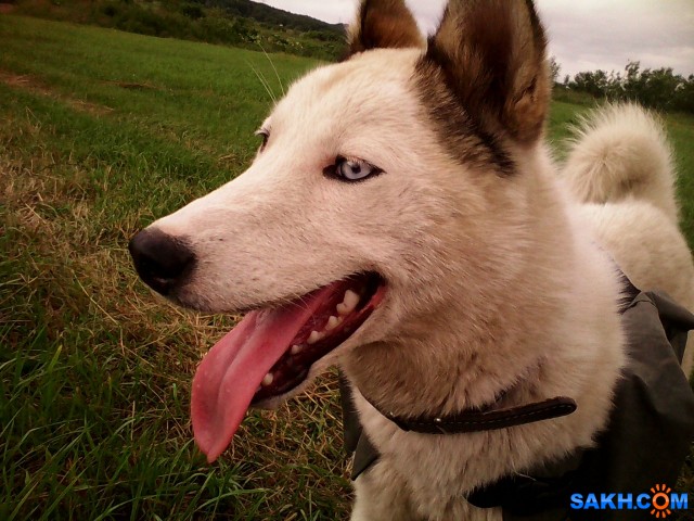 IMG_20140720_160803237