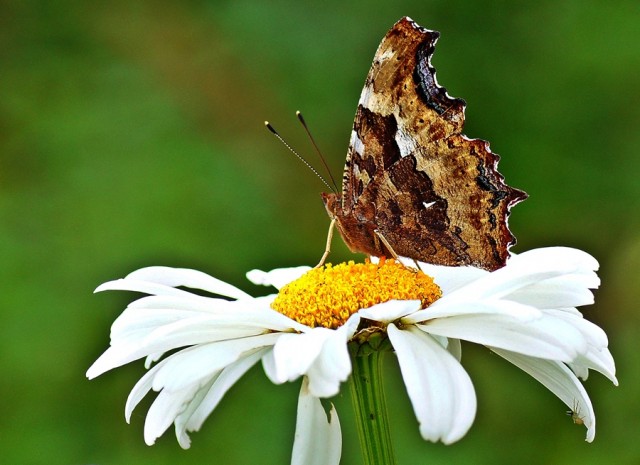 ***
Фотограф: Сергей Буркацкий

Просмотров: 631
Комментариев: 0