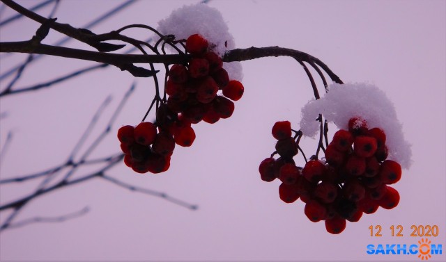 DSC09105

Просмотров: 737
Комментариев: 0