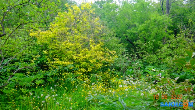 DSC09841

Просмотров: 305
Комментариев: 0