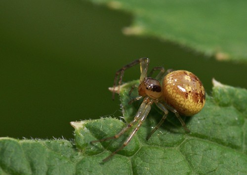 DSC07536
Фотограф: Сергей Буркацкий

Просмотров: 673
Комментариев: 0