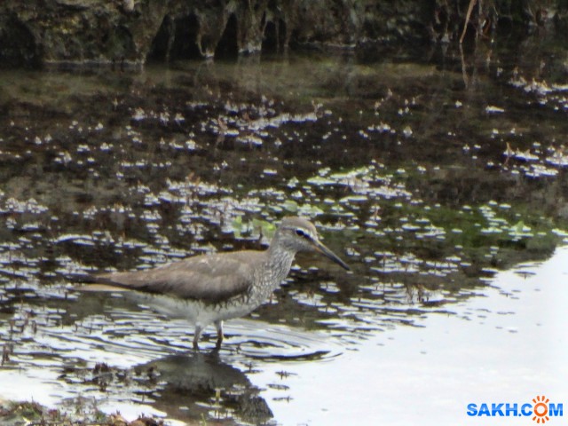 DSC06461

Просмотров: 405
Комментариев: 0