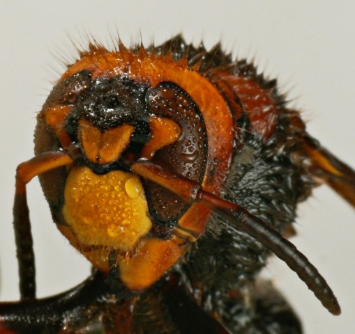 DSC00863
Фотограф: Сергей Буркацкий

Просмотров: 374
Комментариев: 0