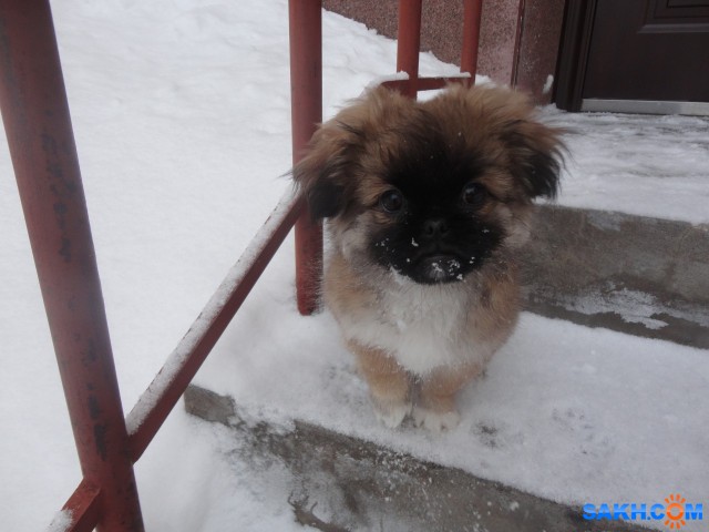 DSC00989
Фотограф: Ирина

Просмотров: 2221
Комментариев: 0