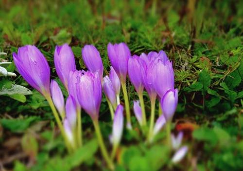 thumb_DSC04253_1024
Фотограф: Сергей Буркацкий

Просмотров: 487
Комментариев: 0