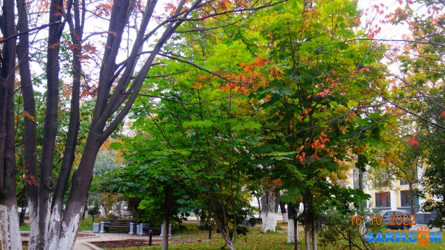 DSC04824