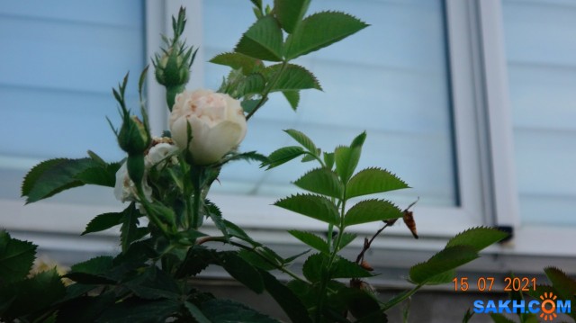 DSC03915

Просмотров: 526
Комментариев: 0