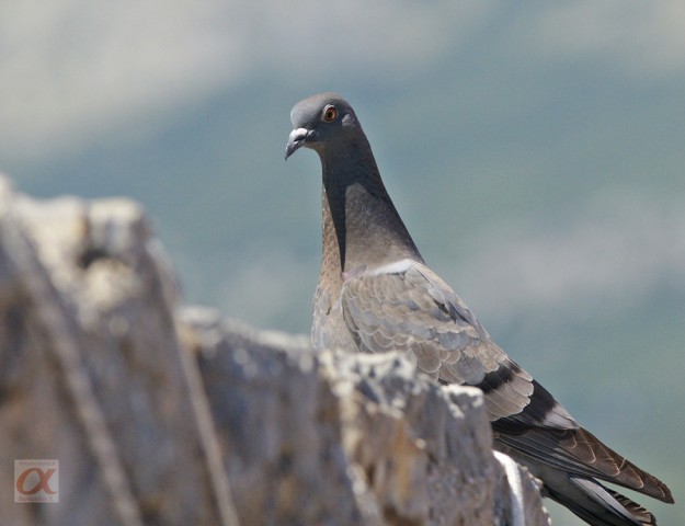 ***
Фотограф: Сергей Буркацкий

Просмотров: 1161
Комментариев: 0