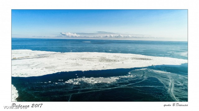 Челюскинцы. Рыбалка 2017
Фотограф: В.Дейкин

Просмотров: 2829
Комментариев: 1