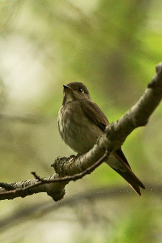 ***
Фотограф: Сергей Букацкий

Просмотров: 1210
Комментариев: 0