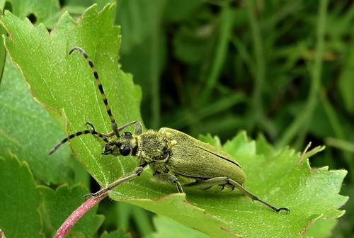 DSC00215
Фотограф: Сергей Буркацкий

Просмотров: 383
Комментариев: 0