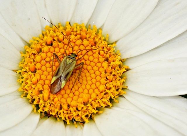 ***
Фотограф: Сергей Буркацкий

Просмотров: 484
Комментариев: 0