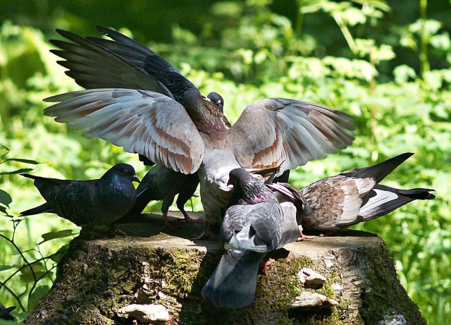 ***
Фотограф: Сергей Буркацкий

Просмотров: 1163
Комментариев: 2