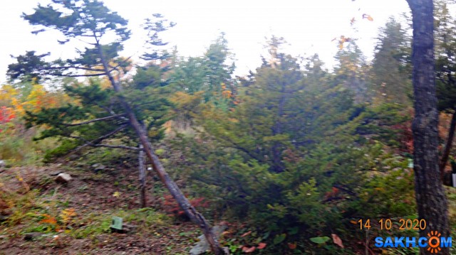 DSC08043

Просмотров: 633
Комментариев: 0