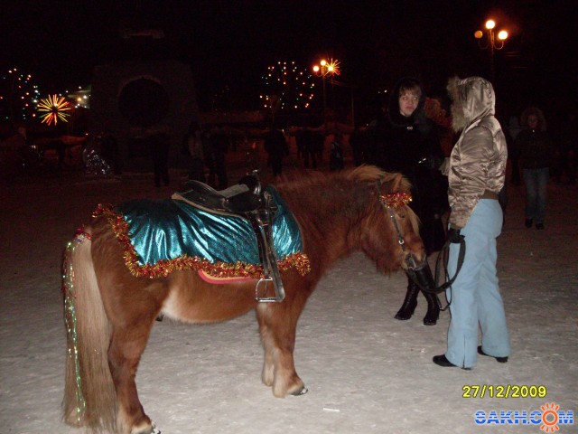 Пони
Фотограф: Maricha

Просмотров: 1107
Комментариев: 0