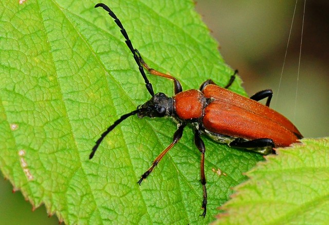 ***
Фотограф: Сергей Буркацкий

Просмотров: 772
Комментариев: 0