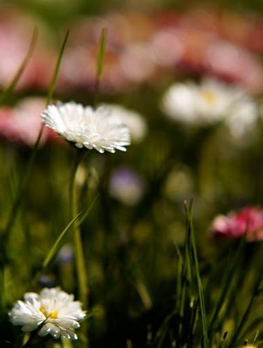 DSC05385
Фотограф: Сергей Буркацкий

Просмотров: 341
Комментариев: 0