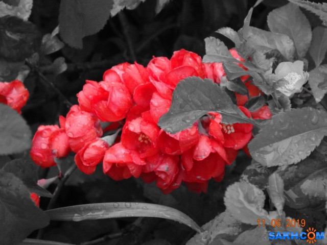 DSC08625

Просмотров: 624
Комментариев: 0