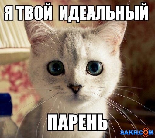 WV-HdOmIbGw

Просмотров: 1003
Комментариев: 2