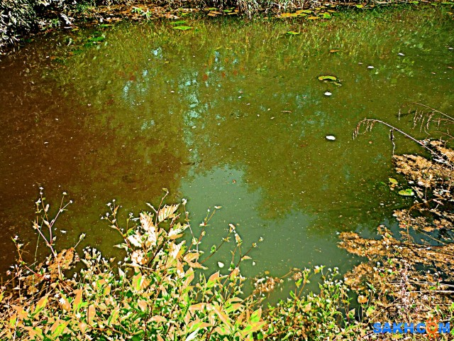 P1210751

Просмотров: 400
Комментариев: 0