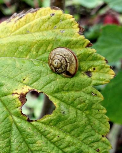 DSC03685
Фотограф: Сергей Буркацкий

Просмотров: 514
Комментариев: 0