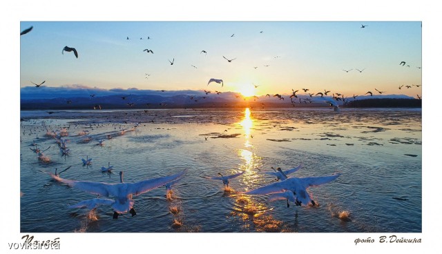 Полет
Фотограф: В.Дейкин

Просмотров: 2756
Комментариев: 2