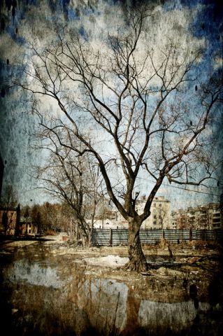 Дерево весной
Фотограф: Stardust
Апрель 2007 г.

Просмотров: 1867
Комментариев: 0