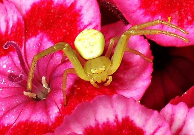 DSC01897
Фотограф: Сергей Буркацкий

Просмотров: 528
Комментариев: 0