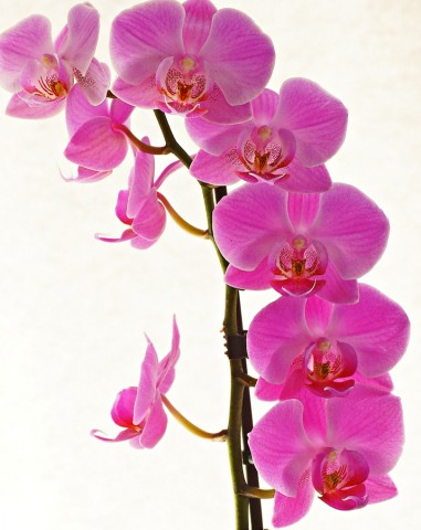 ***
Фотограф: Сергей Буркацкий

Просмотров: 945
Комментариев: 0